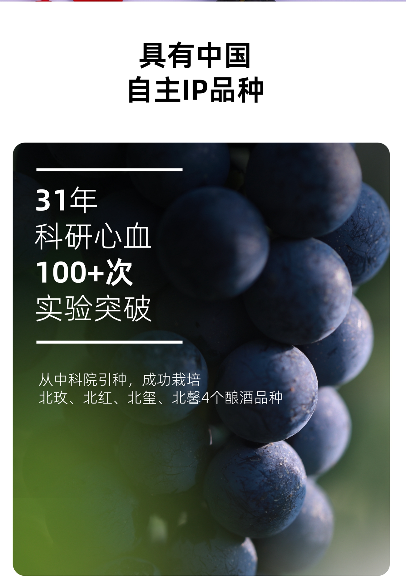 1-23042523261L04.jpg