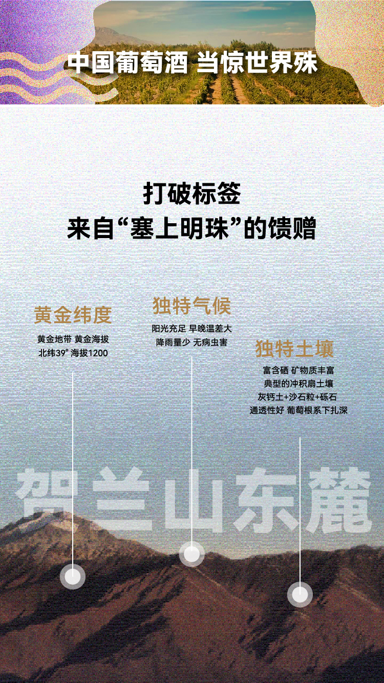海報-05.jpg