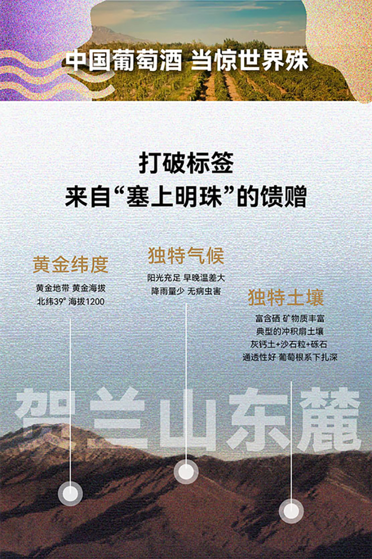 干白-750ml-詳情頁-修改12.20_畫板-1-副本_04.jpg